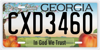 GA license plate CXD3460