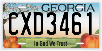 GA license plate CXD3461