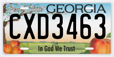GA license plate CXD3463