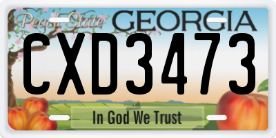 GA license plate CXD3473