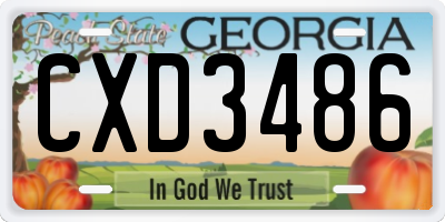 GA license plate CXD3486
