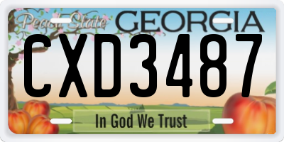 GA license plate CXD3487