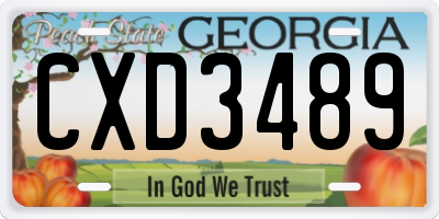 GA license plate CXD3489