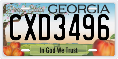 GA license plate CXD3496