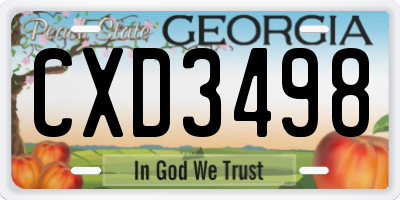 GA license plate CXD3498