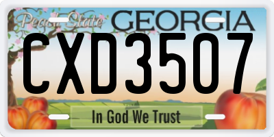 GA license plate CXD3507