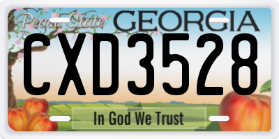 GA license plate CXD3528