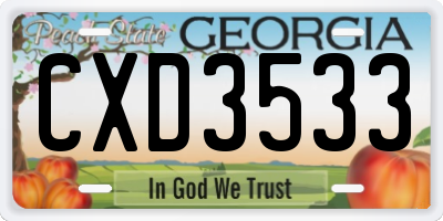 GA license plate CXD3533