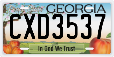 GA license plate CXD3537