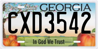 GA license plate CXD3542