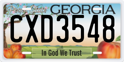 GA license plate CXD3548