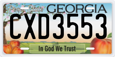 GA license plate CXD3553