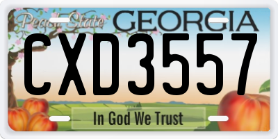 GA license plate CXD3557