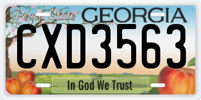 GA license plate CXD3563