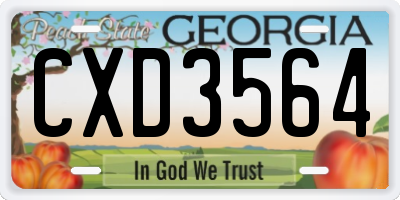 GA license plate CXD3564