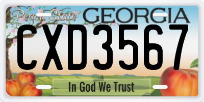 GA license plate CXD3567