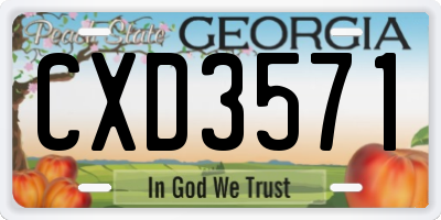GA license plate CXD3571