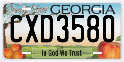 GA license plate CXD3580