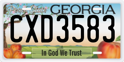 GA license plate CXD3583