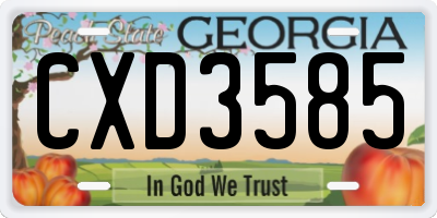 GA license plate CXD3585