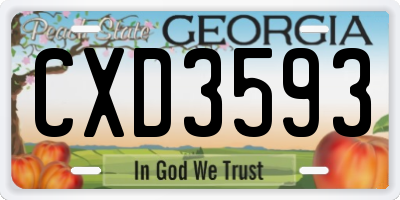 GA license plate CXD3593