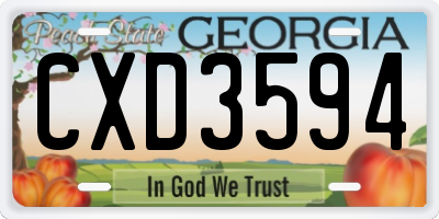 GA license plate CXD3594