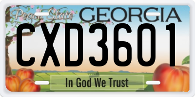 GA license plate CXD3601