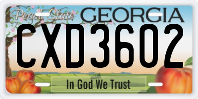 GA license plate CXD3602