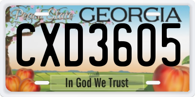 GA license plate CXD3605