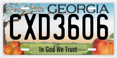 GA license plate CXD3606