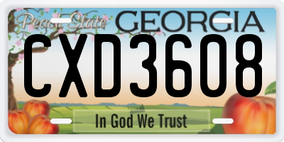 GA license plate CXD3608