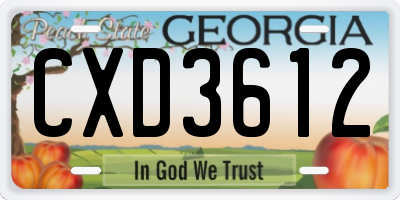 GA license plate CXD3612