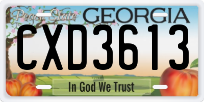 GA license plate CXD3613