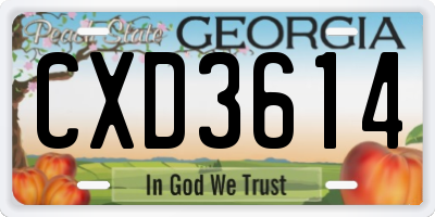 GA license plate CXD3614