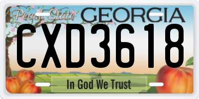 GA license plate CXD3618