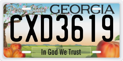 GA license plate CXD3619