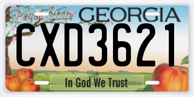 GA license plate CXD3621