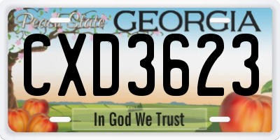 GA license plate CXD3623
