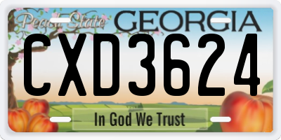 GA license plate CXD3624
