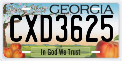 GA license plate CXD3625