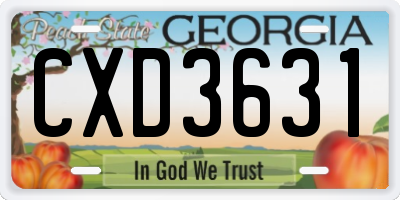GA license plate CXD3631