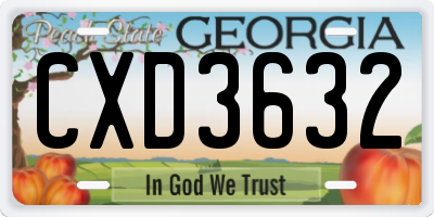 GA license plate CXD3632