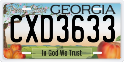 GA license plate CXD3633