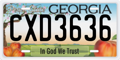 GA license plate CXD3636