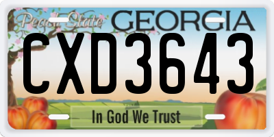 GA license plate CXD3643
