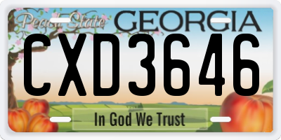 GA license plate CXD3646