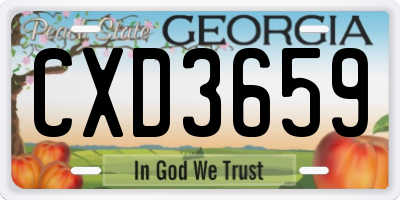 GA license plate CXD3659