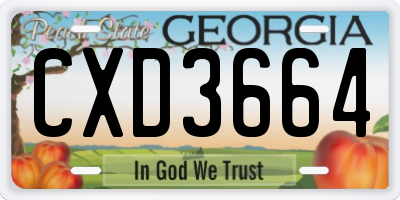 GA license plate CXD3664