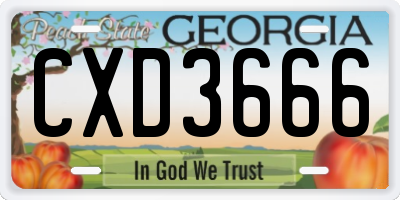 GA license plate CXD3666