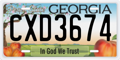 GA license plate CXD3674